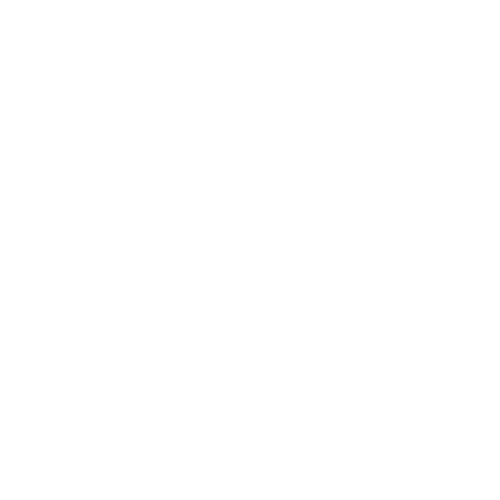 Texas Longhorns logo