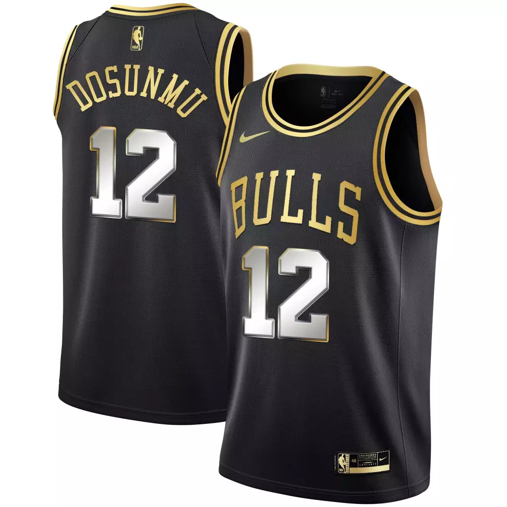 Ayo Dosunmu 12 Bulls Jersey Black Men Gold Silver All Stitched Vapor