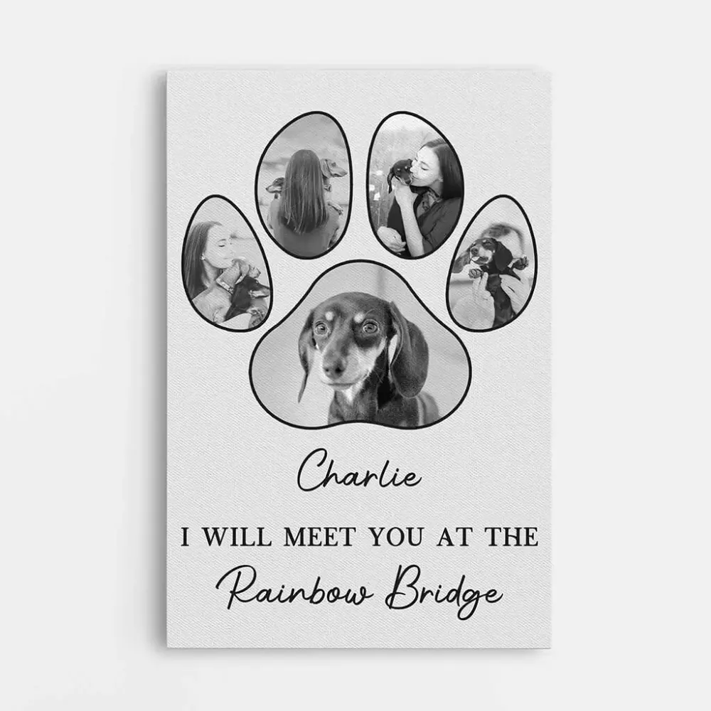 Charlie Jersey White Paw Print Collage