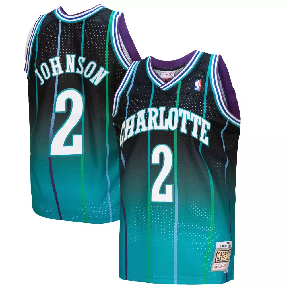 Larry Johnson 2 Charlotte Hornets Jersey Teal Mitchell Ness Hardwood Classics 1993