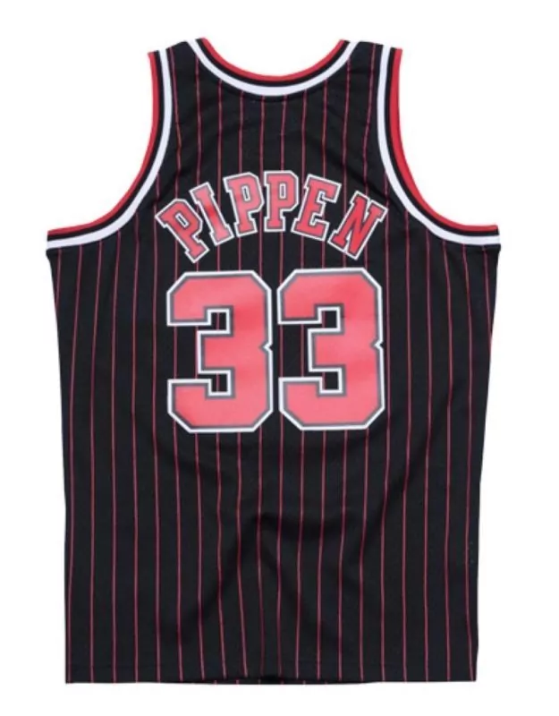 Scottie Pippen 33 Chicago Bulls Jersey Black Men Pinstripe Red White