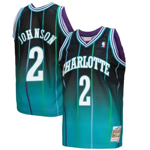 Larry Johnson 2 Charlotte Hornets Jersey Teal Men Jerseys Alternate Purple Black