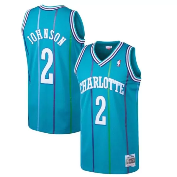 Larry Johnson 2 Charlotte Hornets Jersey Teal Men V-neck Purple Light Blue Hardwood